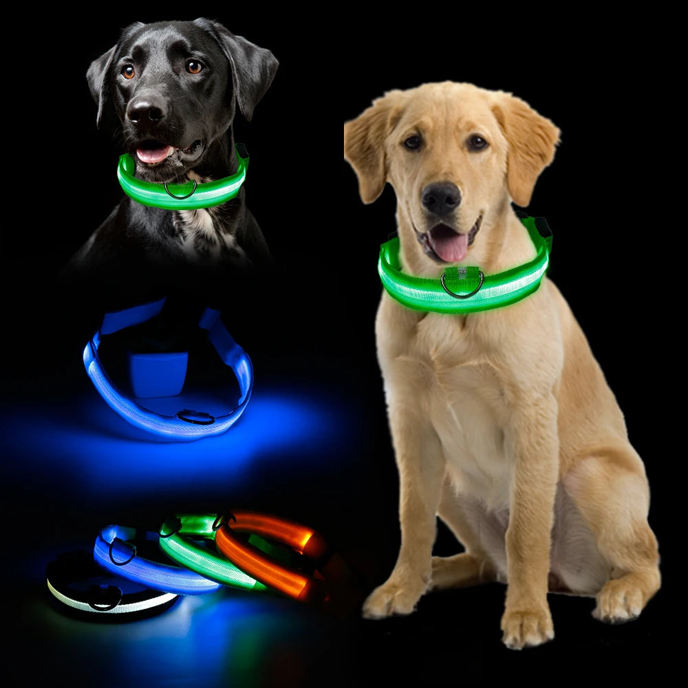 Safety Led Dog / Cat Collar