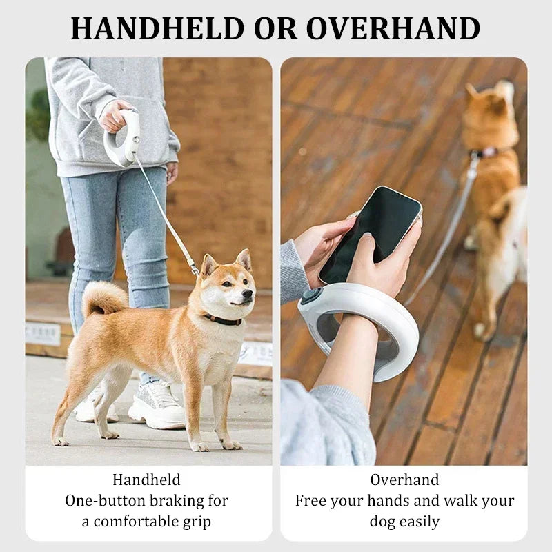 Luminous Durable Dog Leash
