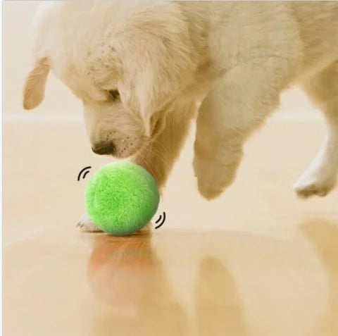 Zaz Active Rolling Ball Anti-Anxiety Automatic Moving Ball