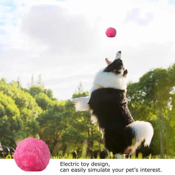 Zaz Active Rolling Ball Anti-Anxiety Automatic Moving Ball