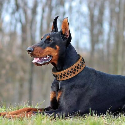 Cool Spiked Studded Dog Collar Luxurious Leather Dog Necklace Collars