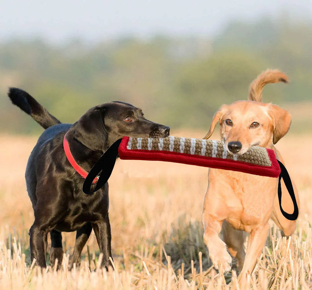 Durable Medium Dog Tug Chew Toy
