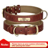 Personalized Dog Collar Leash Custom Leather Dog Tag Collars Free Engraved Nameplates