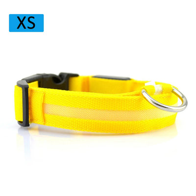 Safety Led Dog / Cat Collar