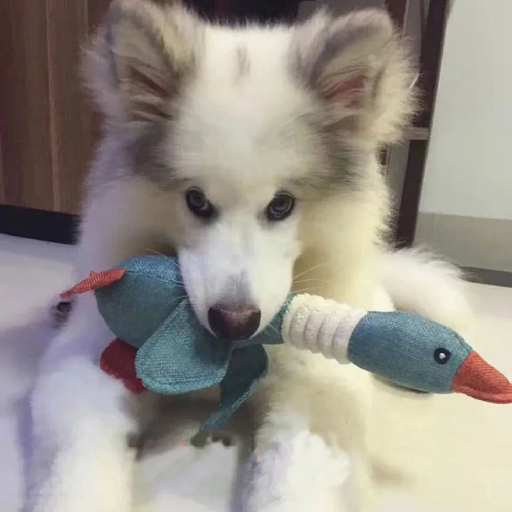 Super Durable Squeaky Plush Mallard Duck Dog Toy for Aggressive Chewers