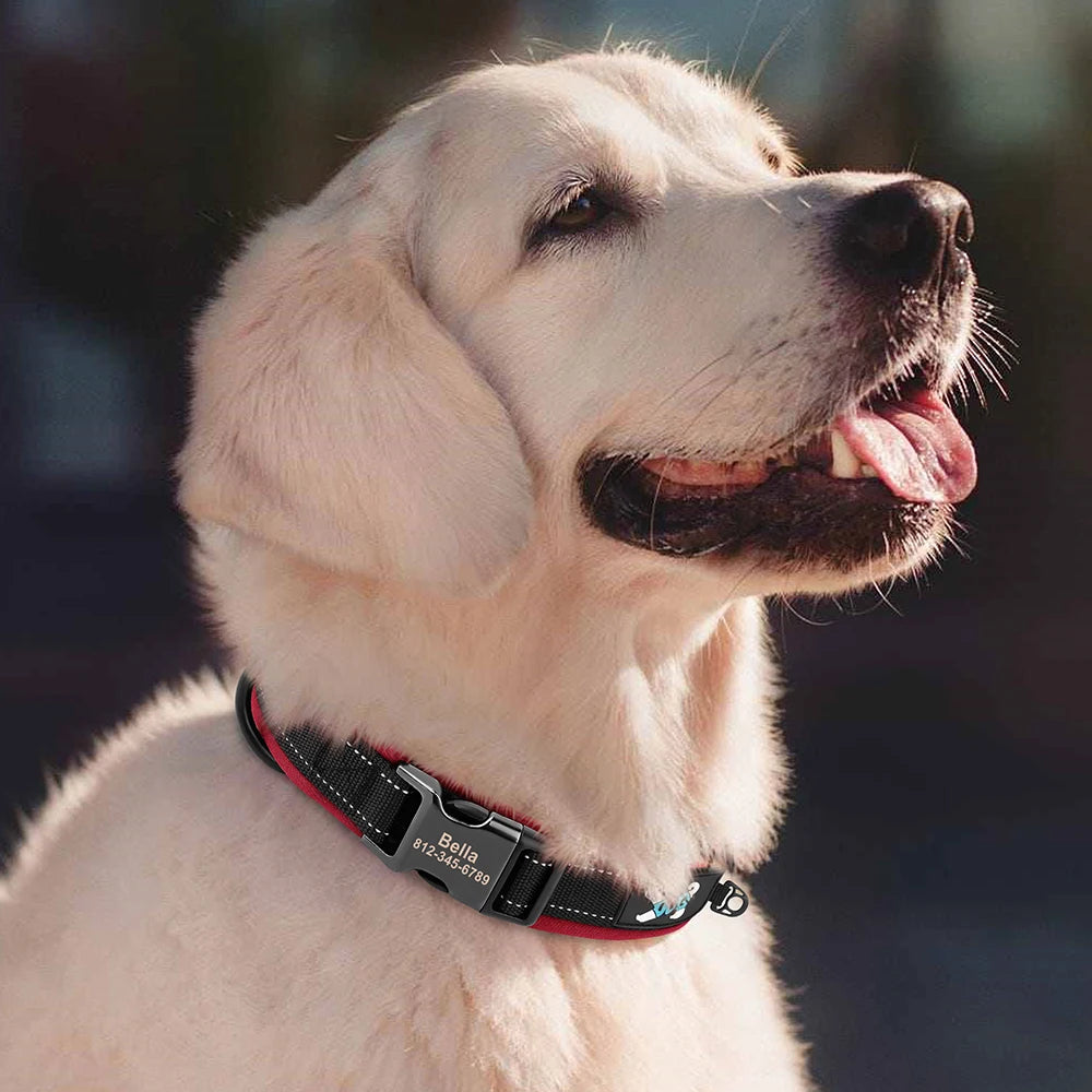 Adjustable Dog Collar Personalized Dogs Padded Collars Reflective Free Engraved ID Tag Collar