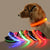 Nylon LED Night Safety Flashing Glow In The Dark Dog Collar