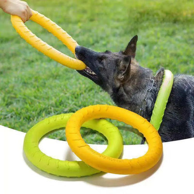 Super Durable Chewing Flying Floating Ring Chew Toy