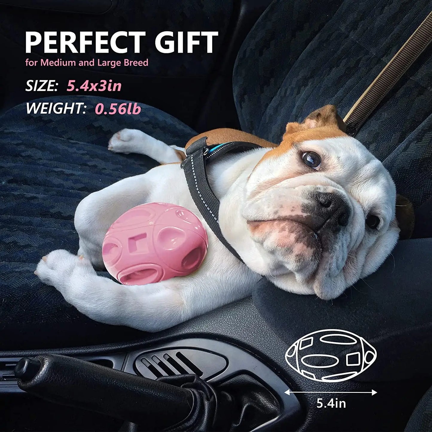 Squeaky Dog Bouncy Toy for Aggressive Chewers