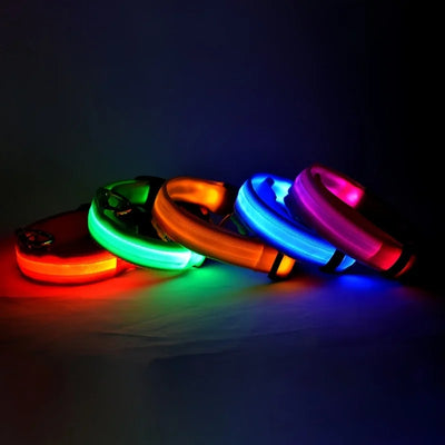 Nylon LED Night Safety Flashing Glow In The Dark Dog Collar