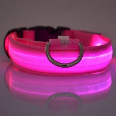 Nylon LED Night Safety Flashing Glow In The Dark Dog Collar