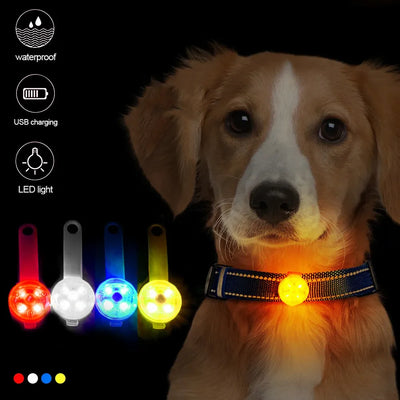 USB Rechargeable Glowing Collar Pendant Waterproof Safety LED Flashing Light