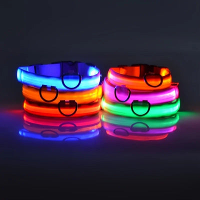 Nylon LED Night Safety Flashing Glow In The Dark Dog Collar