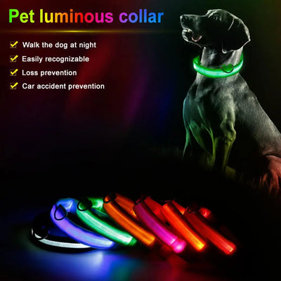 Safety Led Dog / Cat Collar