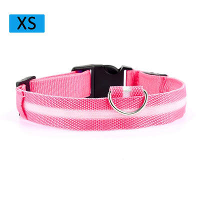 Safety Led Dog / Cat Collar