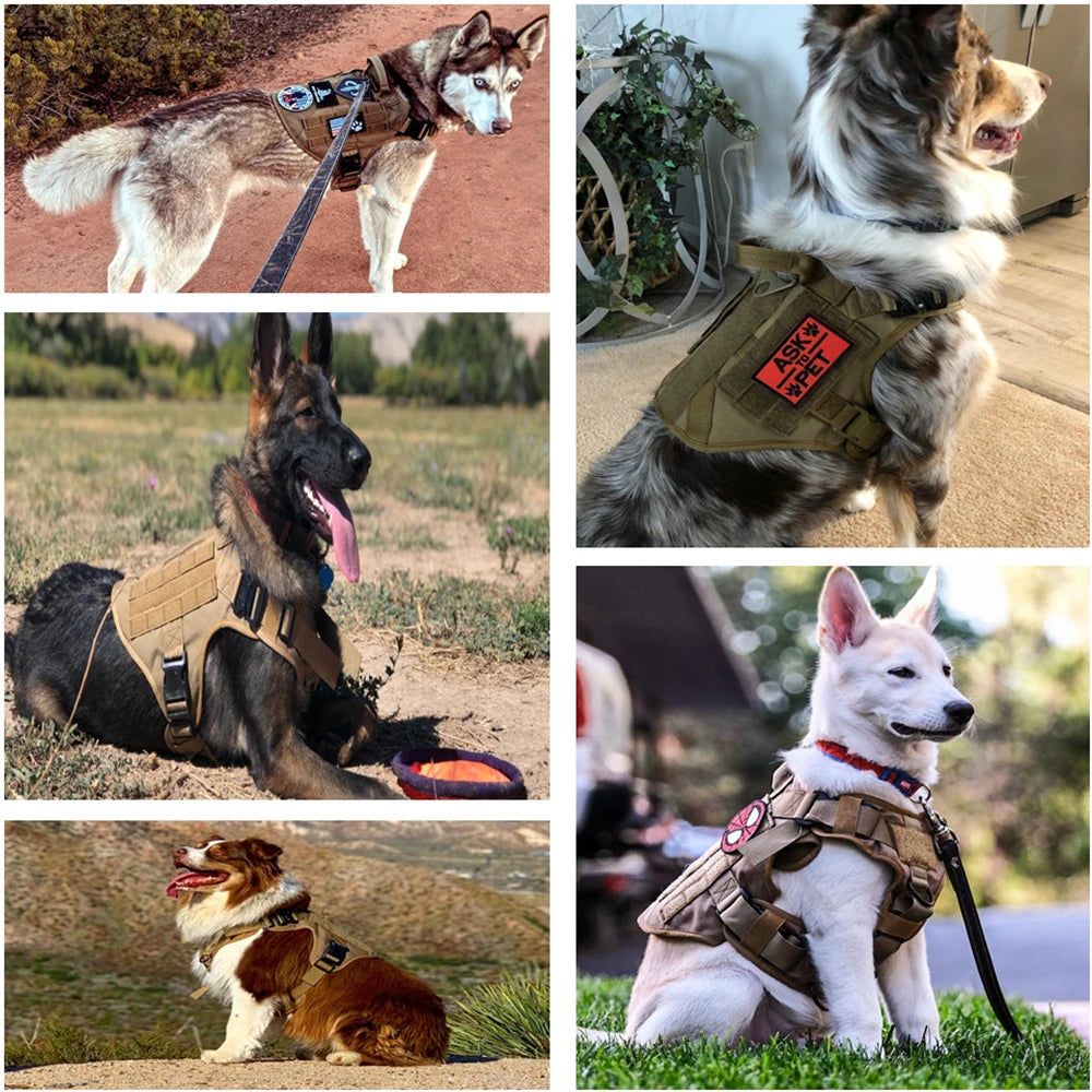 Military Large Dog Harness Pet German Shepherd K9 Malinois Training Vest Tactical Dog Harness And Leash Set
