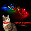 Safety Led Dog / Cat Collar