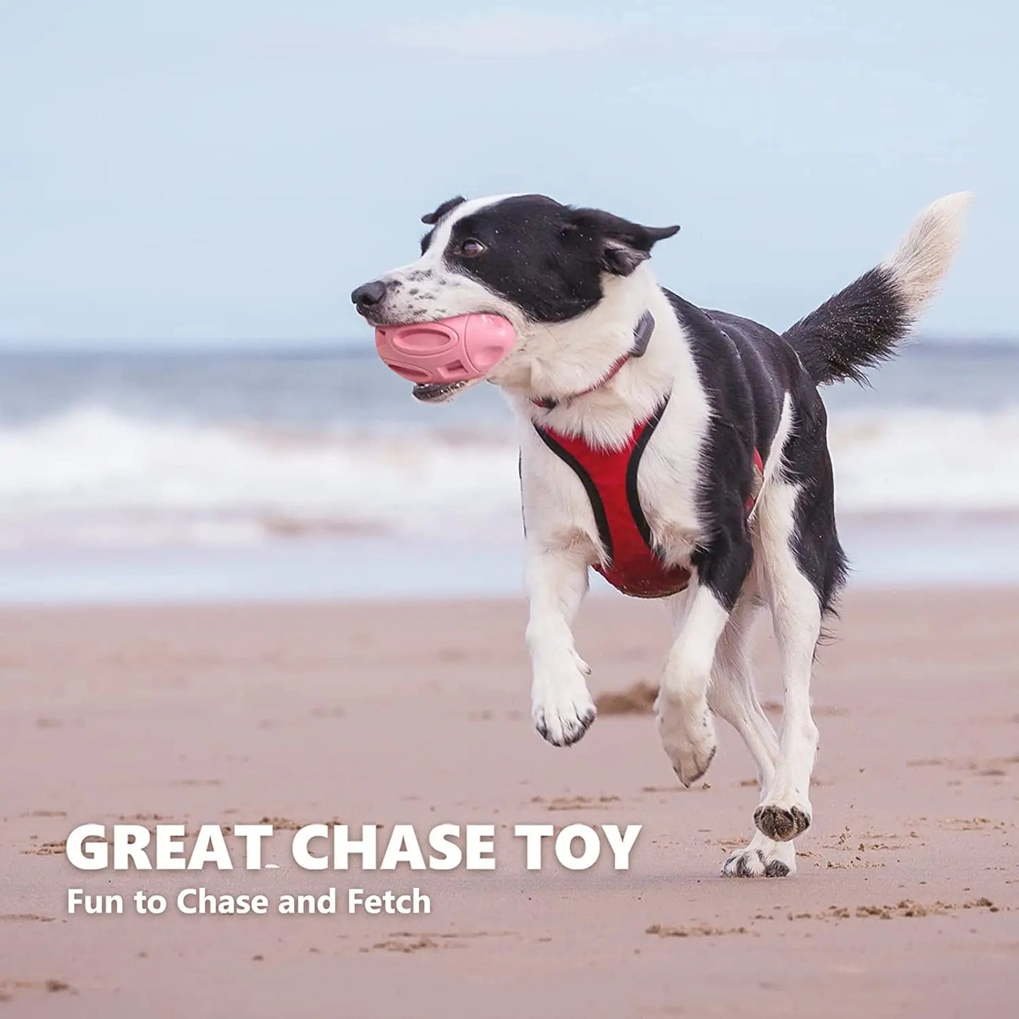 Squeaky Dog Bouncy Toy for Aggressive Chewers