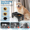 Elevated Dog Bowls, 2-in-1 Raised Slow Feeder Dog Bowls