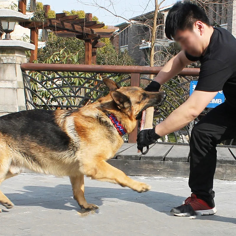 Durable Medium Dog Tug Chew Toy