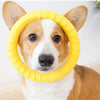 Super Durable Chewing Flying Floating Ring Chew Toy