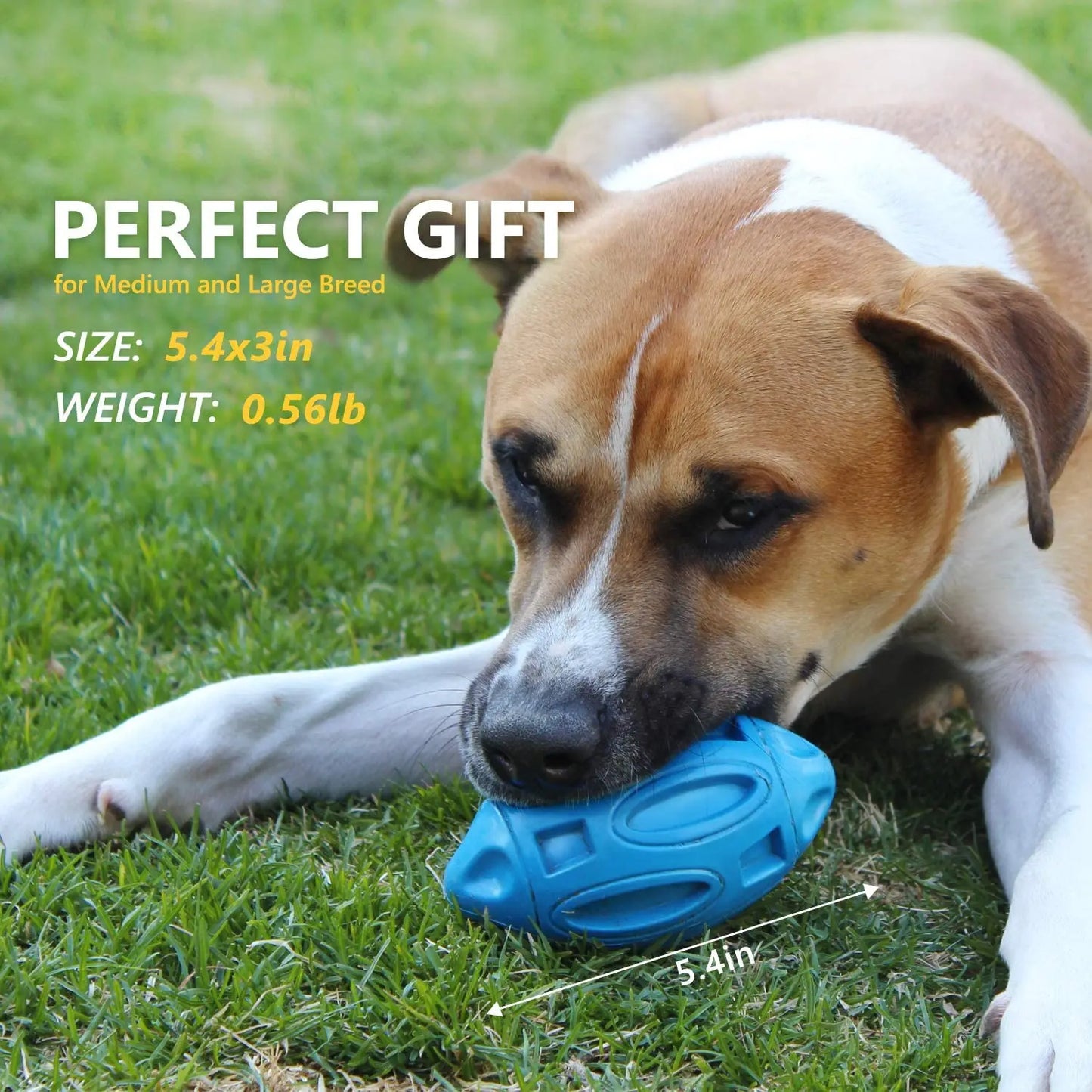 Squeaky Dog Bouncy Toy for Aggressive Chewers