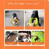 Super Durable Chewing Flying Floating Ring Chew Toy